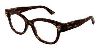 Cartier CT0373O women Havana Squared Eyeglasses