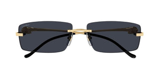 Cartier Panthère de Cartier CT0430S unisex Gold Squared Sunglasses