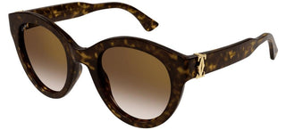 Cartier Signature C de Cartier CT0436S women Havana Cat Eye Sunglasses