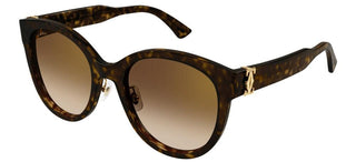 Cartier Signature C de Cartier CT0438SA women Havana Cat Eye Sunglasses