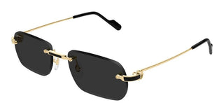 Cartier Ct0498s Men Gold Rectangle Sunglasses