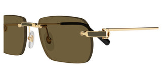 Cartier CT0498S men Gold Rectangle Sunglasses