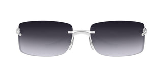 Cartier Panthère De Cartier Ct0503s Unisex Silver Rectangle Sunglasses