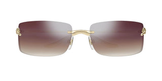 Cartier Panthère De Cartier Ct0503s Unisex Gold Rectangle Sunglasses