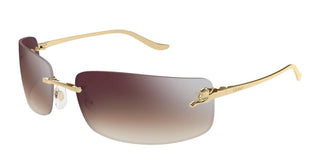 Cartier Panthère De Cartier Ct0503s Unisex Gold Rectangle Sunglasses