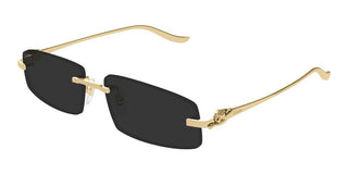 Cartier CT0505S unisex Gold Rectangle Sunglasses