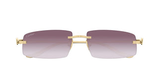 Cartier Panthère De Cartier Ct0505s Unisex Gold Rectangle Sunglasses