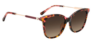 Kate Spade DALILA/S women Havana Squared Sunglasses