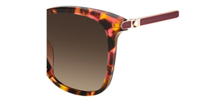 Kate Spade DALILA/S women Havana Squared Sunglasses