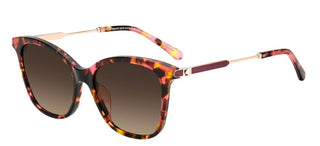 Kate Spade DALILA/S women Havana Squared Sunglasses