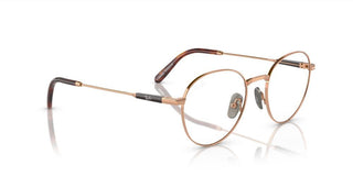 Ray-Ban DAVID TITANIUM RX 8782 unisex Brown Round Eyeglasses