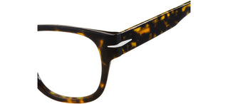 David Beckham DB 7025 men Havana Eyeglasses