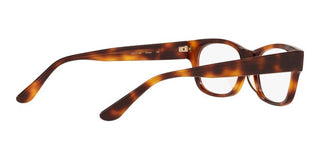 Oliver Peoples DENTON OV 7982 men Havana Squared Eyeglasses