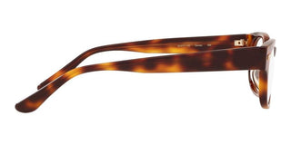 Oliver Peoples DENTON OV 7982 men Havana Squared Eyeglasses