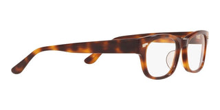 Oliver Peoples DENTON OV 7982 men Havana Squared Eyeglasses