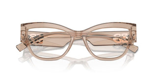 Dolce & Gabbana DG 3378 women Brown Visor Eyeglasses