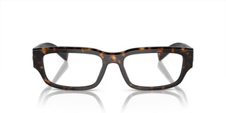 Dolce & Gabbana DG 3381 men Havana Geometric Eyeglasses