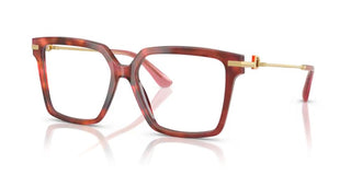 Dolce & Gabbana DG 3397 women Havana Butterfly Eyeglasses