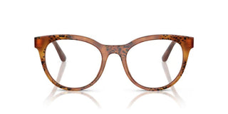 Dolce & Gabbana DG 3399 women Havana Pantos Eyeglasses