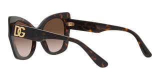 Dolce & Gabbana DG 4405 women Havana Cat Eye Sunglasses