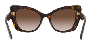 Dolce & Gabbana DG 4405 women Havana Cat Eye Sunglasses