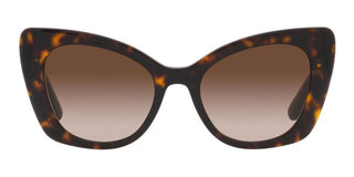 Dolce & Gabbana DG 4405 women Havana Cat Eye Sunglasses