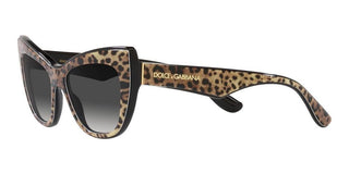 Dolce & Gabbana DG 4417 women Brown Cat Eye Sunglasses