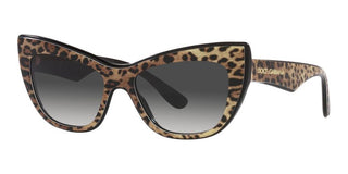 Dolce & Gabbana DG 4417 women Brown Cat Eye Sunglasses