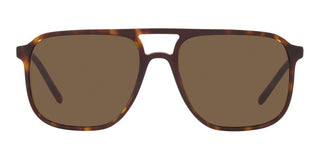 Dolce & Gabbana DG 4423 men Havana Geometric Sunglasses