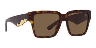 Dolce & Gabbana DG 4436 women Havana Squared Sunglasses