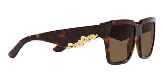 Dolce & Gabbana DG 4436 women Havana Squared Sunglasses