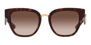 Dolce & Gabbana DG 4437 women Havana Geometric Sunglasses