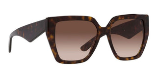 Dolce & Gabbana DG 4438 women Havana Butterfly Sunglasses