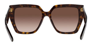 Dolce & Gabbana DG 4438 women Havana Butterfly Sunglasses