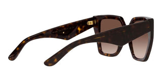 Dolce & Gabbana DG 4438 women Havana Butterfly Sunglasses