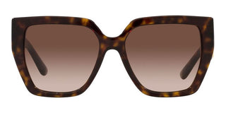 Dolce & Gabbana DG 4438 women Havana Butterfly Sunglasses