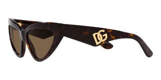 Dolce & Gabbana DG 4439 women Havana Cat Eye Sunglasses