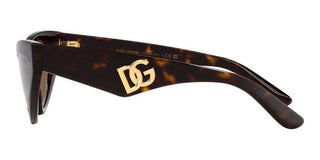 Dolce & Gabbana DG 4439 women Havana Cat Eye Sunglasses