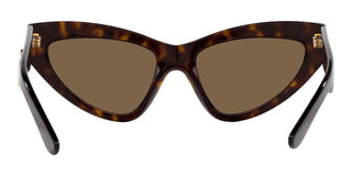 Dolce & Gabbana DG 4439 women Havana Cat Eye Sunglasses