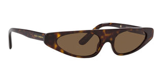 Dolce & Gabbana DG 4442 women Havana Cat Eye Sunglasses