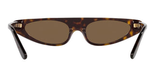 Dolce & Gabbana DG 4442 women Havana Cat Eye Sunglasses