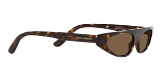 Dolce & Gabbana DG 4442 women Havana Cat Eye Sunglasses