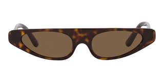 Dolce & Gabbana DG 4442 women Havana Cat Eye Sunglasses