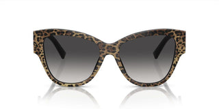 Dolce & Gabbana DG 4449 women Multicolor Cat Eye Sunglasses