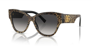 Dolce & Gabbana DG 4449 women Multicolor Cat Eye Sunglasses