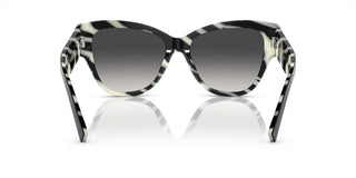 Dolce & Gabbana DG 4449 women Black Cat Eye Sunglasses