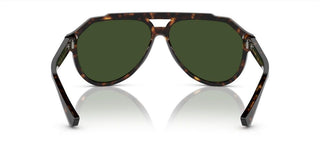 Dolce & Gabbana DG 4452 men Havana Pilot Sunglasses