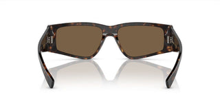 Dolce & Gabbana DG 4453 men Havana Geometric Sunglasses