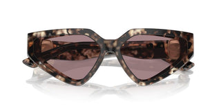 Dolce & Gabbana DG 4469 women Havana Butterfly Sunglasses