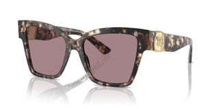 Dolce & Gabbana DG 4470 women Havana Butterfly Sunglasses